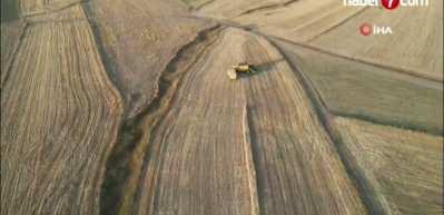 Zararlı b&ouml;cekler gıda g&uuml;venliğini tehdit ediyor