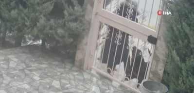 Ankara'da başıboş sokak k&ouml;pek dehşeti kamerada!