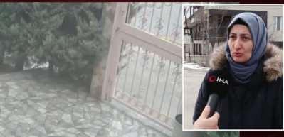 Ankara'da sokak k&ouml;peklerinin saldırısına uğrayan kadın dehşet anlarını anlattı!