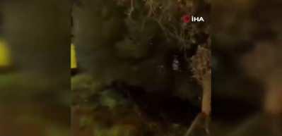 Arnavutk&ouml;y'de i&ccedil;inde yolcuların bulunduğu İETT otob&uuml;s&uuml; ormanlık alana u&ccedil;tu, faciadan d&ouml;n&uuml;ld&uuml;