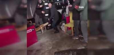 Bing&ouml;l'de yolunu şaşıran kurt girdiği d&uuml;kkanda panik yarattı