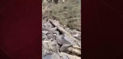 Cammu Keşmir&rsquo;de askeri ara&ccedil; u&ccedil;uruma yuvarlandı: 10 asker hayatını kaybetti