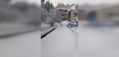 İmamın seslendiği kedilerin karda sıralı şekilde y&uuml;r&uuml;mesi g&ouml;r&uuml;nt&uuml;lendi