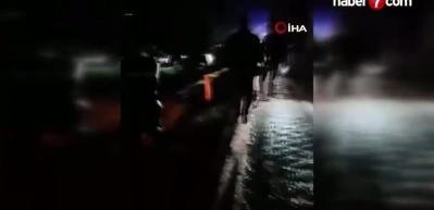 K&ouml;pekler nedeniyle otoyolda can pazarı