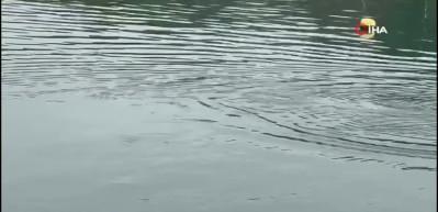 Sahil g&uuml;venlikten yunus kurtarma operasyonu