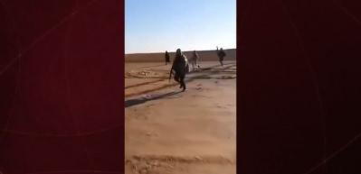 Suriye ordusu Rakka'da teslim olmayı reddeden PKK/SDG'li ter&ouml;ristleri yakaladı