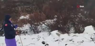 Diyarbakır'da kaybolan Nimet 8 g&uuml;nd&uuml;r aranıyor