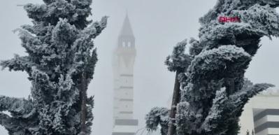 Diyarbakır'da yoğun sis ve kırağı: U&ccedil;ak seferleri iptal edildi