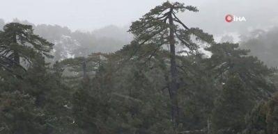 Meteoroloji 12 il i&ccedil;in alarm verdi: Kuvvetli kar geliyor!