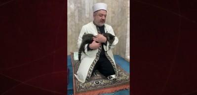 Camiye giren kedinin Kur'an okuyan imamın kucağına uzandığı anlar y&uuml;rekleri ısıttı