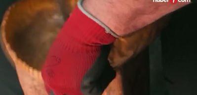 Bakır ve kalayda b&uuml;y&uuml;k kayıp