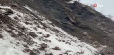 Batman'da grup k&ouml;y yolunda heyelan: 2 minib&uuml;s mahsur kaldı