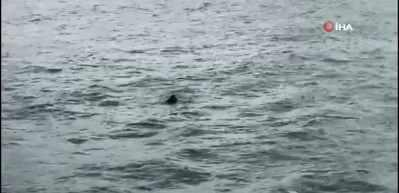 Emin&ouml;n&uuml; vapurunda korku dolu anlar: Denize atlayan şahsı yolcular kurtardı