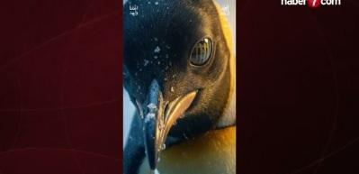 En-Nesyri'nin vedası resmileşti! Yeni takımı a&ccedil;ıklandı