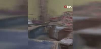 Evde yangın &ccedil;ıktı, 26 kedi &ouml;ld&uuml;