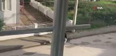 İzmit sokaklarında tehlikeli oyun! &Ccedil;ocuk havaya ateş a&ccedil;tı