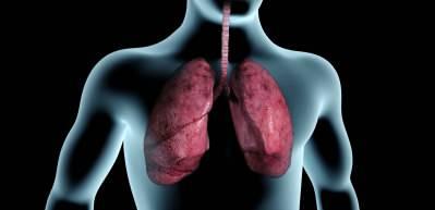 9 Şubat D&uuml;nya Sigarayı Bırakma G&uuml;n&uuml;'nde uzmanından &ccedil;arpıcı uyarılar!