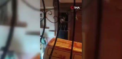 G&uuml;r&uuml;lt&uuml; yaptığı gerek&ccedil;esiyle &ouml;ld&uuml;r&uuml;len 10 yaşındaki Emir'in davasında karar!