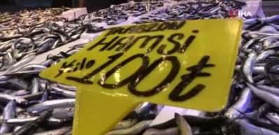 Karadeniz&rsquo;de hamsi bolluğu: Sezon sonunda fiyatlar d&uuml;şt&uuml;