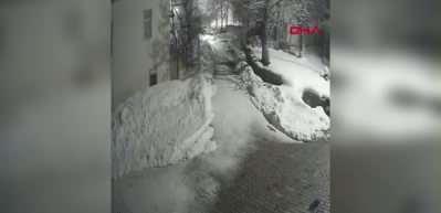 K&ouml;yde kedi avlayan vaşak kamerada