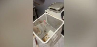 Boğazi&ccedil;i &Uuml;niversitesi&rsquo;nde ger&ccedil;ekler ortaya &ccedil;ıktı!