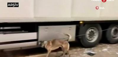 Ocak ayında ka&ccedil;ak&ccedil;ılıkla m&uuml;cadelede 7,6 milyar liralık yakalama