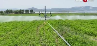 Avrupa 2040'da 2 kat gen&ccedil; &ccedil;ift&ccedil;i hedefliyor, tarımda gelecek gen&ccedil;lerle bi&ccedil;ilecek