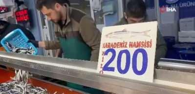 Bolu'da hamsi bolluğu s&uuml;r&uuml;yor: Kilosu 200 liradan rağbet g&ouml;rd&uuml;