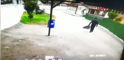 Devrilen ağacın altında kalmaktan son anda kurtuldu