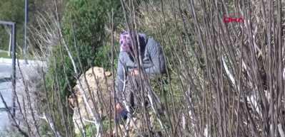 Evladı i&ccedil;in falezlere &ccedil;ıkan anne: Hayvanlar bile bırakmıyor yavrularını nasıl bırakayım?