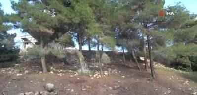 Kahramanmaraş'ta kaya par&ccedil;ası otomobilin i&ccedil;ine girdi: 2'si ağır 4 yaralı