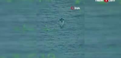 Meksika Donanması, yaklaşık 4 ton uyuşturucu taşıyan denizaltıyı ele ge&ccedil;irdi