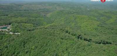 Orman vasfını yitiren arazilere yeni kadastro d&uuml;zenlemesi