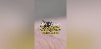 Tropikal hastalık Avrupa'da salgına d&ouml;n&uuml;şebilir