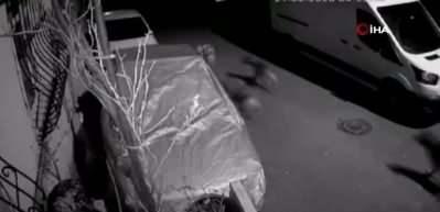 Başıboş k&ouml;pek dehşeti kamerada: Kediyi par&ccedil;aladılar