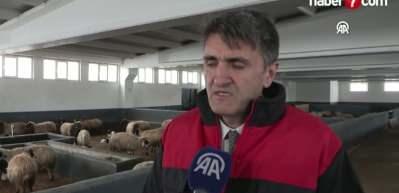 &Ccedil;ift&ccedil;iler hayvancılığa destek projesinden memnun!