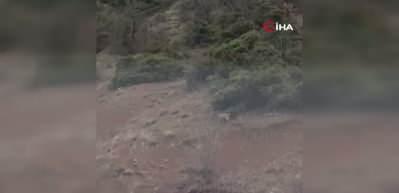 Erzincan'da g&ouml;r&uuml;nt&uuml;lendi: Avlamanın cezası 870 bin TL