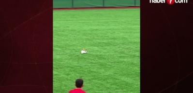 Futbol tarihinde g&ouml;r&uuml;lmemiş olay: Kalecinin vurduğu top martıya &ccedil;arptı!