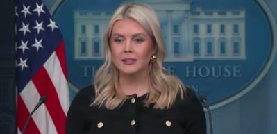 Beyaz Saray: Kara birliklerinin kullanılması şu an operasyon planına dahil değil