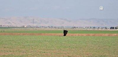 iran: T&uuml;rkiye topraklarına f&uuml;ze atılmadı, T&uuml;rkiye'nin egemenliğine saygılıyız dedi