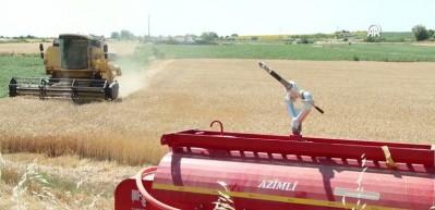 Savaş tarımı da vurdu! İthalat durma noktasına geldi