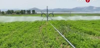 Tarım iş&ccedil;ilerinin g&uuml;nl&uuml;k &uuml;creti arttı!