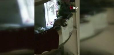 Adana&rsquo;da bir gen&ccedil; eline aldığı kolonya şişesiyle herkesi tehdit etti