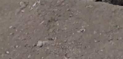 ABD askeri ilk kez paylaştı! Gazzelilere yardım dağıtırken katliam yapıldı