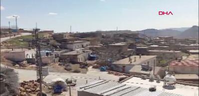 Kuduz ş&uuml;phesi Mardin'deki bir mahalleyi karantinaya aldırdı