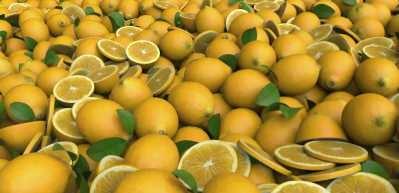 Limon fiyatları zirveye &ccedil;ıktı, Erdoğan fiyat d&uuml;zenlemesi i&ccedil;in adım attı