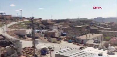 Mardin'in Kaynakkaya Mahallesi'nde kuduz alarmı