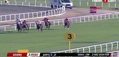 Sakatlanan yarış atıyla ilgili skandalda yeni gelişme!