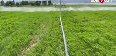 T&uuml;rkiye'de 10 yıldır yasaktı! İran savaşı sonrası serbest oldu!