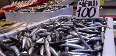 T&uuml;rkiye'den 2.7 milyar dolarlık hamsi ihracatı! En &ccedil;oğunu savaştaki &uuml;lke aldı